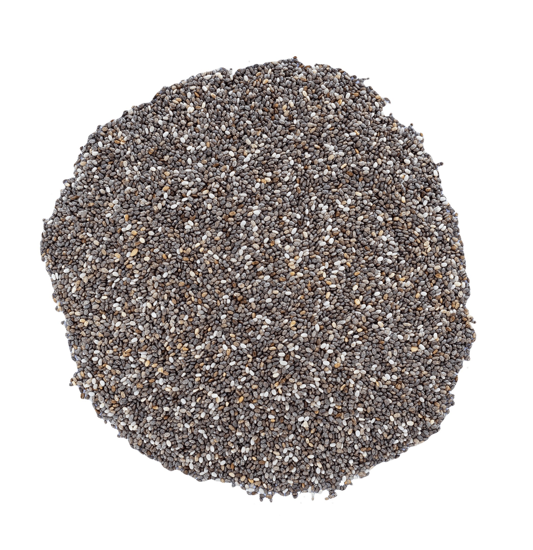 بذور الشيا بأسعار