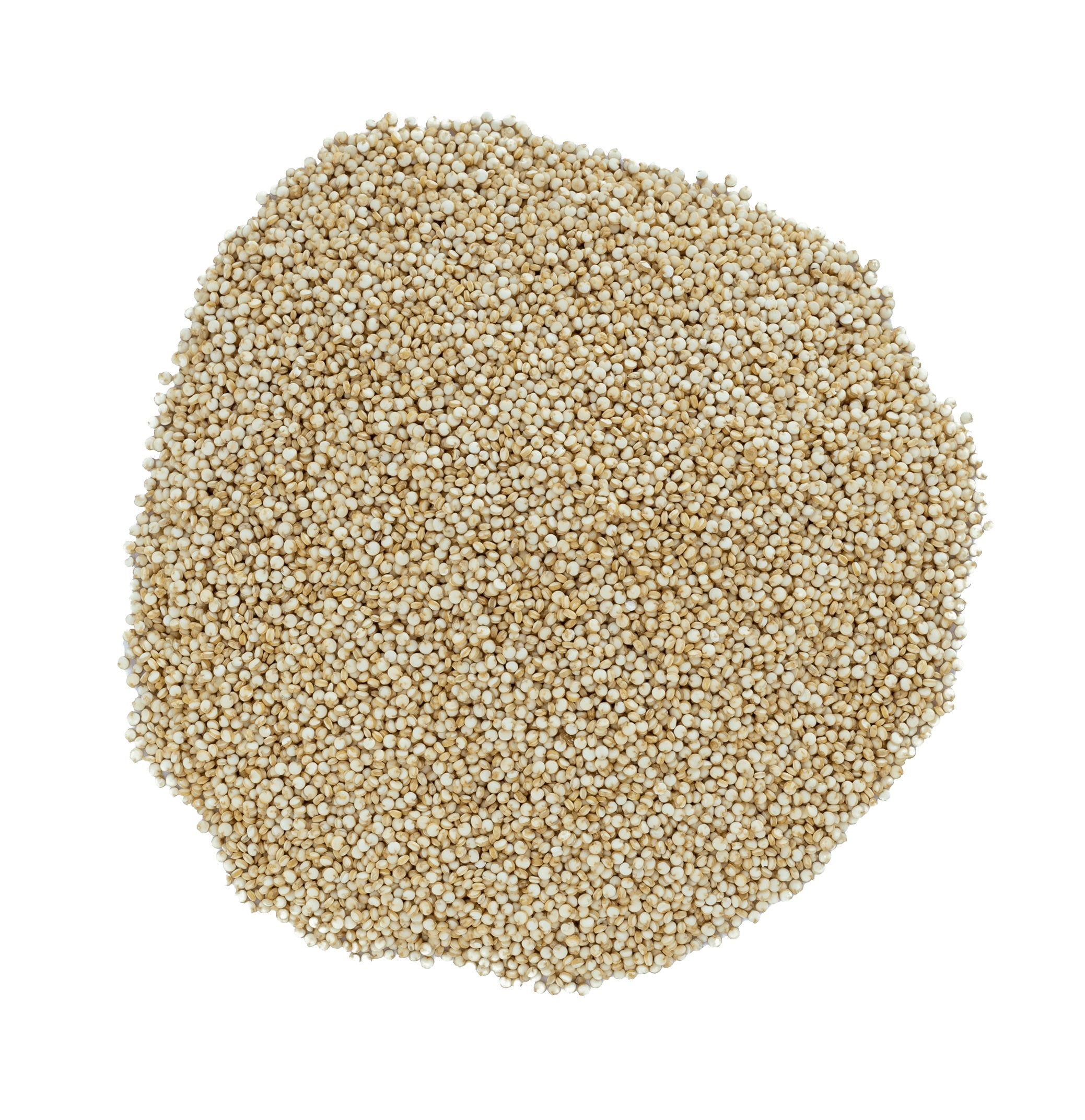 Organic Quinoa 